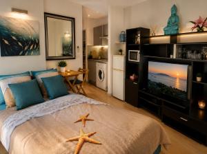 a bedroom with a large bed and a television at Studio Rez de jardin Marina baie des Anges in Villeneuve-Loubet