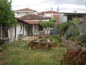 a house with a lot of potted plants in the yard at Petalidi Gedigio in Petalidi +6 photos