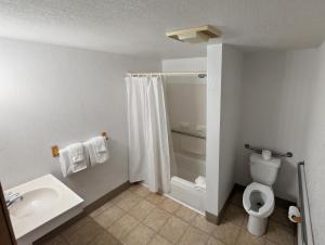 a bathroom with a shower and a toilet and a sink at The Orca Inn in Friday Harbor