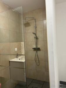 a bathroom with a shower and a sink at Apartment zoe in Erny-Saint-Julien