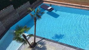 an overhead view of a swimming pool with a remote control next to a palm tree at AMAD Aparthotel in Sarandë
