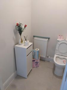 a bathroom with a toilet and a vase with flowers on a cabinet at Hotel vibe at home in Edenderry +27 photos