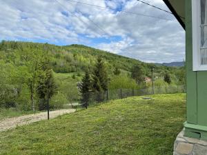a green house with a view of a mountain at zelena khata in Sopot