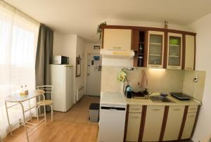 a small kitchen with a sink and a refrigerator at William's apartments - second cozy studio in Sveti Vlas