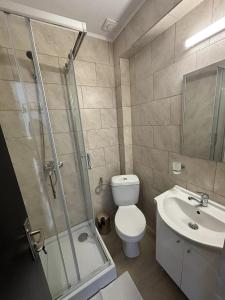 a bathroom with a shower and a toilet and a sink at Pensiunea SAUVAGE in Corbu +8 photos