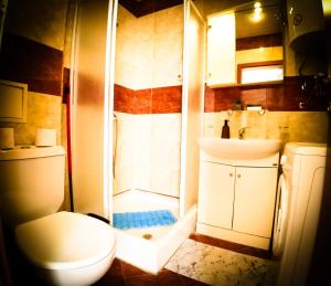 a bathroom with a shower and a toilet and a sink at William's apartments - second cozy studio in Sveti Vlas +72 photos