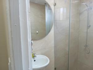a bathroom with a shower and a sink and a mirror at Sucasa Apartment B in Willemstad
