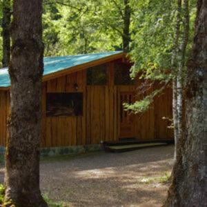 a wooden cabin in the middle of a forest at Entre arrayanes lodge in Curarrehue +18 photos