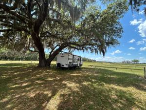 an rv parked under a tree in a field at Rocking Horse Stables in Altoona