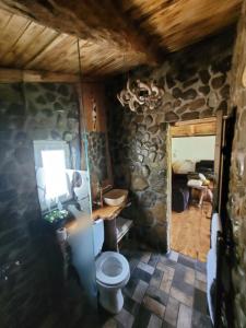 a bathroom with a toilet and a stone wall at Cabana Noah Rustic in Vîlcăneşti