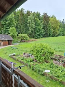 a view of a garden from a porch at FerienwohnungenKRAINZ in Dobein +9 photos