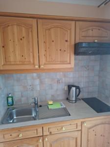 a kitchen with wooden cabinets and a sink and a counter at FerienwohnungenKRAINZ in Dobein
