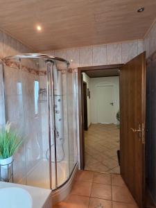 a bathroom with a shower and a sink at Ferienwohnung Sonnenberg am Radweg in Gedern +21 photos