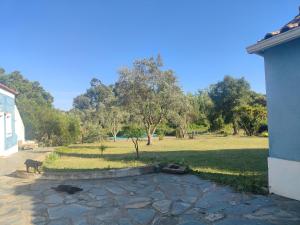 a view of a park with trees and a field at Suite no campo in Cercal +4 photos