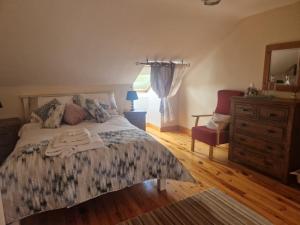 a bedroom with a bed and a dresser and a mirror at Dee's Nest in Dingle