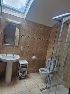 a bathroom with a toilet and a sink and a shower at Dee's Nest in Dingle