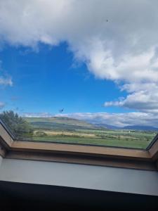 a window with a view of a field at Dee's Nest in Dingle