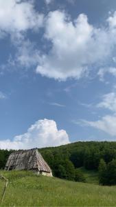 an old barn sitting on a hill in a field at Autocamp Kotari in Plužine
