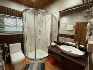 a bathroom with a shower and a toilet and a sink at Lord Palace Houseboat in Srinagar