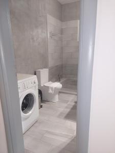 a bathroom with a washing machine and a toilet at Claudia's Apartments in Aliveri