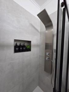 a bathroom with a shower with a shelf with four bottles at Guesthouse EL in Ogulin +48 photos