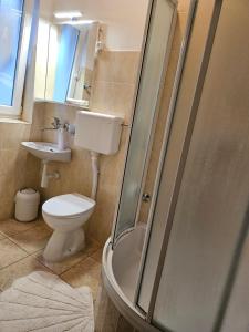 a bathroom with a shower and a toilet and a sink at Apartment Tičić in Povljana +41 photos