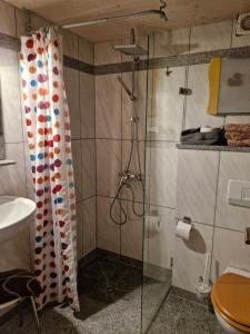 a bathroom with a shower with a glass door at Ferienweingut Schäfer in Niedersteinbach +17 photos