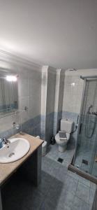 a bathroom with a sink and a toilet and a shower at Bayside Apartments in Vasiliki +45 photos