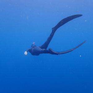 Fotografie z fotogalerie ubytování Pintuyan Dive Resort v destinaci Pintuyan
