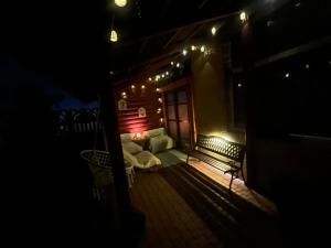 a living room with a couch and lights in the dark at Noclegi U Waldiego in Starachowice +32 photos