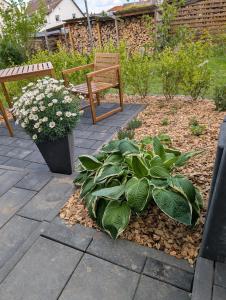 a garden with a bench and a potted plant at Gästezimmer am Deister in Barsinghausen