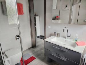 a bathroom with a sink and a toilet at Ferienwohnung Siegel in Heimweiler +44 photos