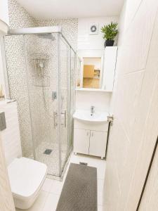 a bathroom with a shower and a toilet and a sink at Blue Bay Studio in Bečići