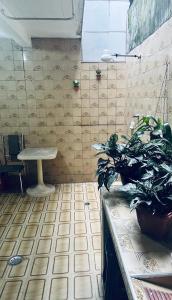 a kitchen with a table and a potted plant at Casa na Ponta da Praia - Quintais privativos, churrasqueira e Wi-fi - Até 6 hospedes in Santos