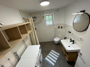 a bathroom with a sink and a toilet and a mirror at Ruhige Monteurwohnung Ohrtermersch in Bippen