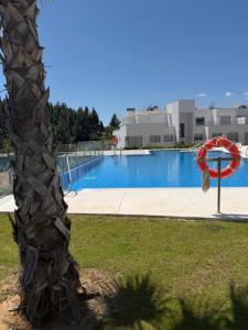 a palm tree next to a swimming pool at Palm Forest Oasis in Mijas Costa