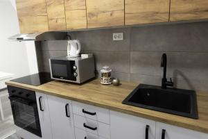 a kitchen counter with a microwave and a sink at S Apartman Vrdnik in Vrdnik