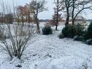 a snow covered yard with trees and bushes at Ruhige Monteurwohnung Ohrtermersch in Bippen