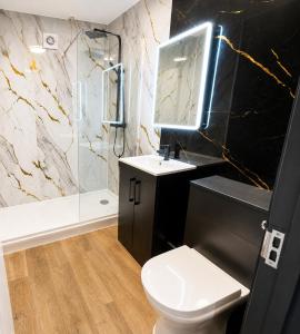 a bathroom with a toilet and a sink and a shower at 2BR Central Apt - Parking -2 Baths - Bars & Trains in Liverpool