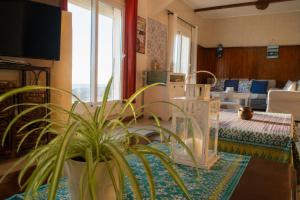 a living room with a potted plant and a couch at HeenaluSurfCamp - ocean view appartement - 4P - Tamraght in Tamraght Ouzdar