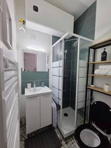 a bathroom with a shower and a toilet and a sink at *Ça me convient* Studio Chaleureux in Villejuif +17 photos