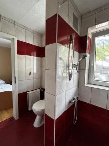 a bathroom with a toilet and a shower at Rooms Zima in Žirovnica