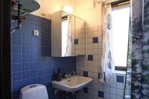 a blue tiled bathroom with a sink and a mirror at 14250-Grevinge-Hybenvaenget-9 in Grevinge +14 photos