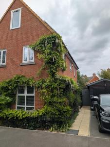 a red brick house with ivy growing on it at Private Studio Anex in Sherborne Saint John
