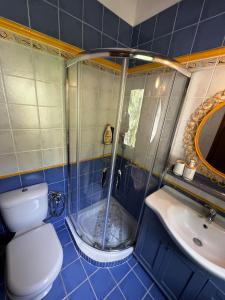 a bathroom with a shower and a toilet and a sink at Polyxeni villa - Neo Klima in Skopelos Town +23 photos
