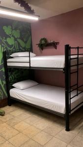 two bunk beds in a room with a wall at Hostal Casa Margarito in Guadalajara