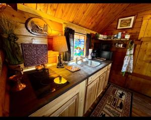 a kitchen with a sink and a counter in a cabin at The Raven in Cosby +9 photos