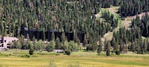 a field with trees on the side of a mountain at Dav's Slopeside King Studio -- Resort & Spa at Everline in Olympic Valley