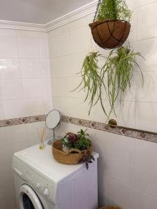 a laundry room with a washing machine with plants on it at Casa D Dinis in Alfaiates