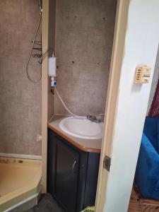 a bathroom with a sink and a toilet and a shower at Private Cozy Camper in Burnside